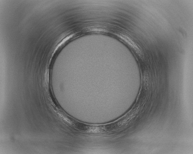 X0000115450790200912021005