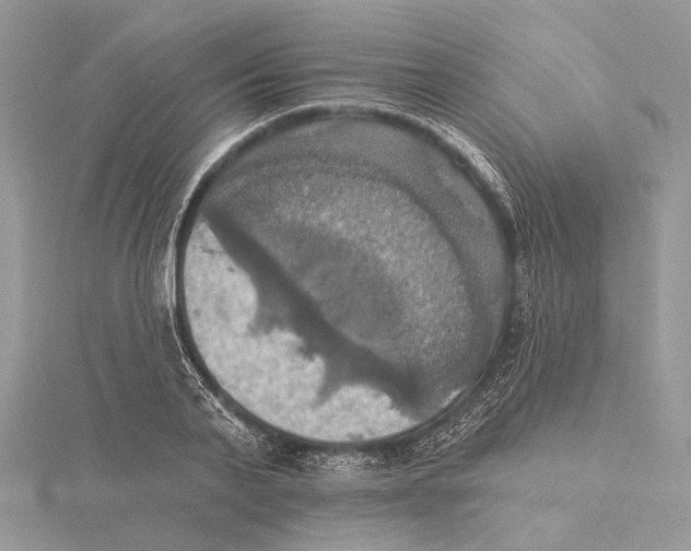 X0000115450791200912021005