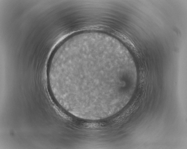 X0000115450792200912021005