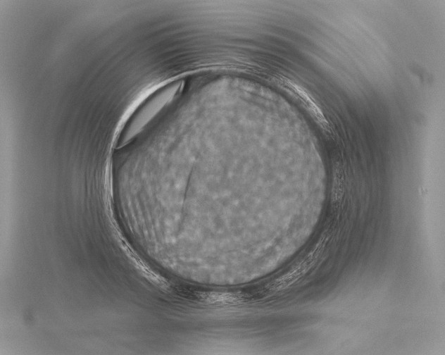 X0000115450796200912021005