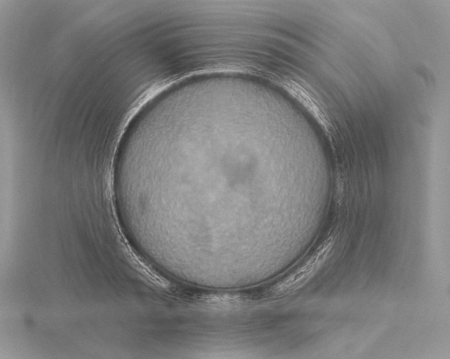 X0000115450797200912021005