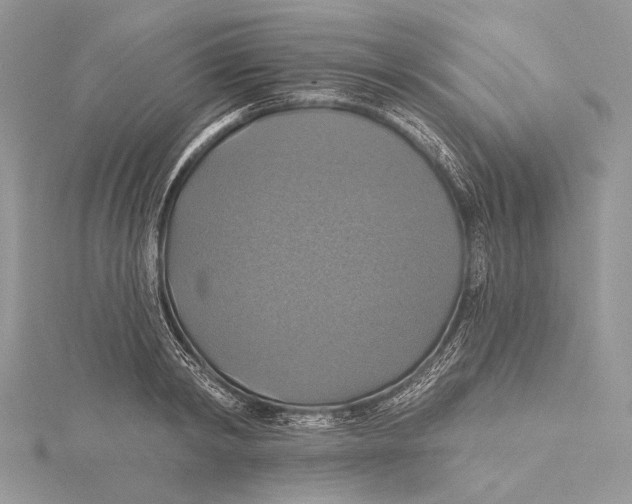 X0000115450798200912021005