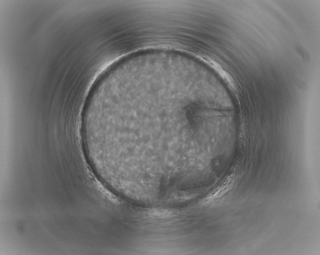 X0000115450799200912021005