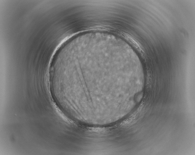 X0000115450800200912021005