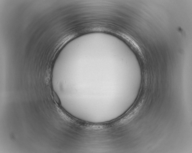 X0000115450801200912021005