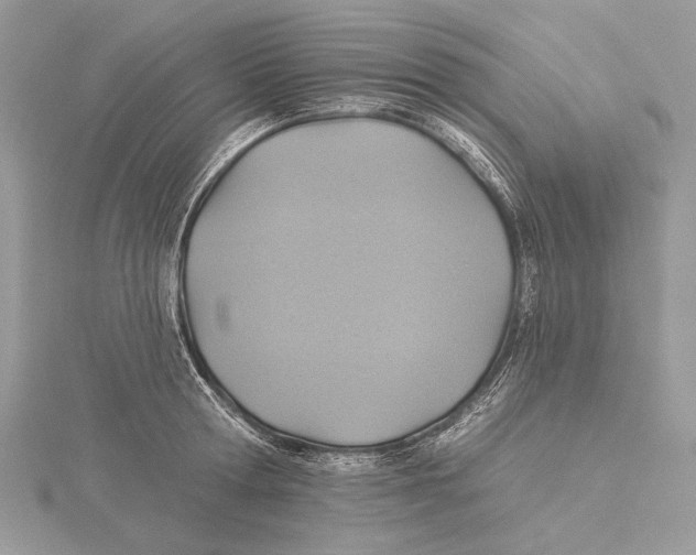 X0000115450802200912021005