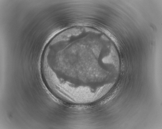 X0000115450803200912021005