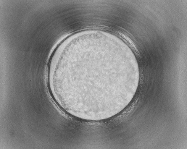 X0000115450804200912021005