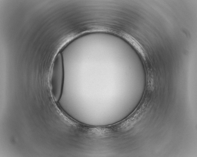 X0000115450805200912021005