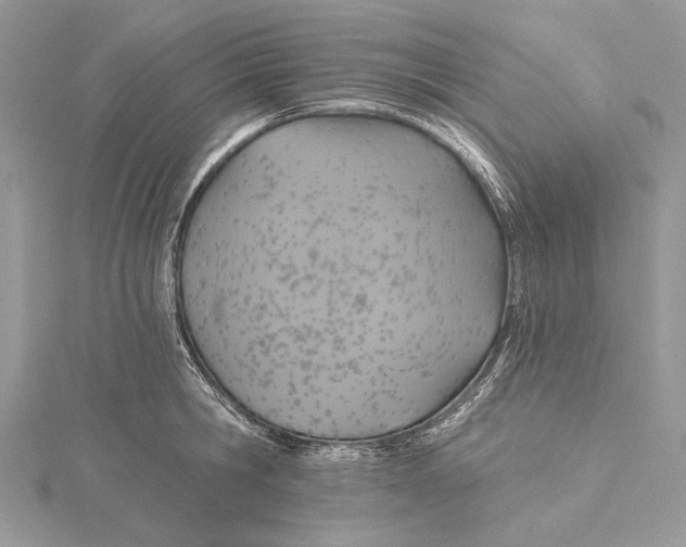 X0000115450806200912021005