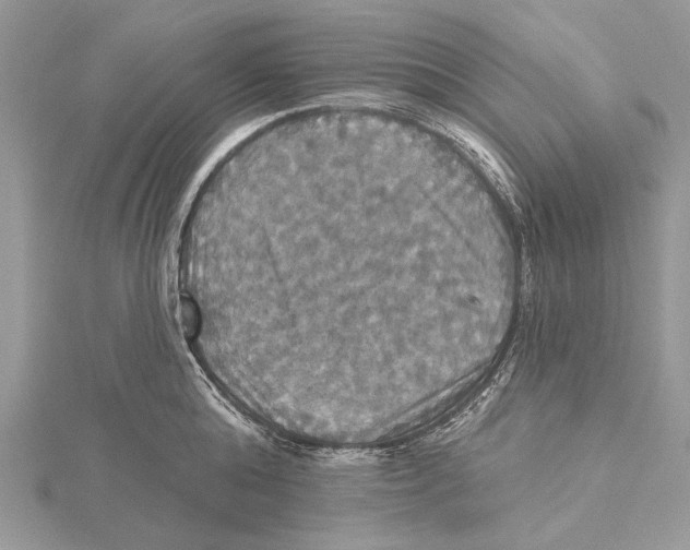 X0000115450808200912021005