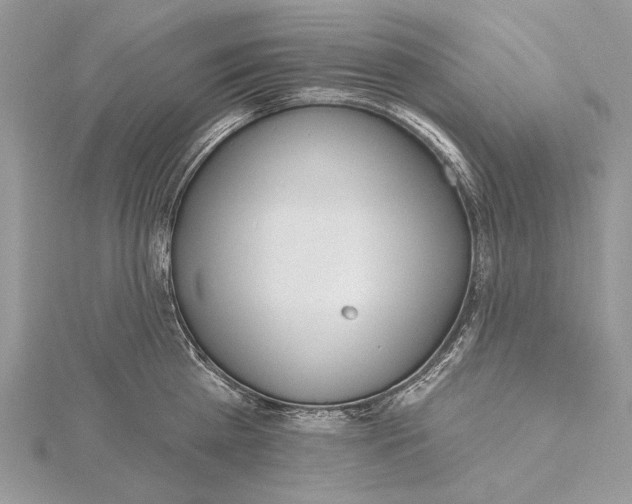 X0000115450809200912021005