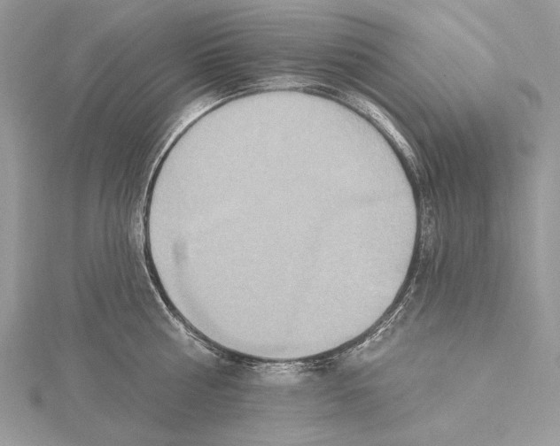 X0000115450810200912021005