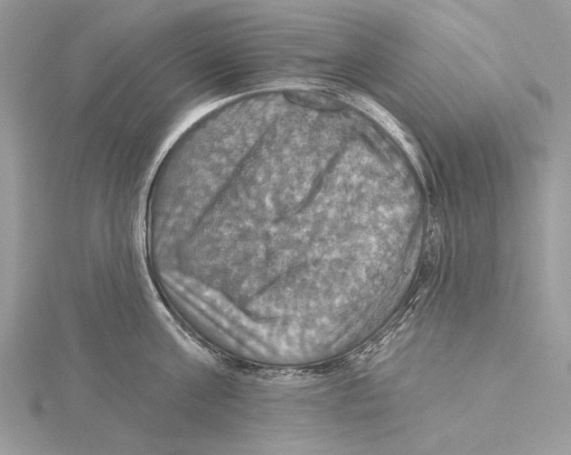 X0000115450811200912021005