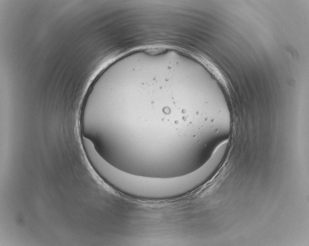 X0000115450813200912021004