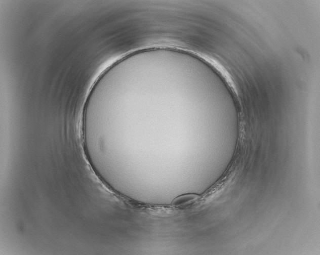 X0000115450815200912021004