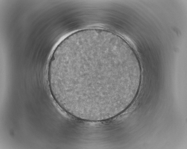 X0000115450816200912021004