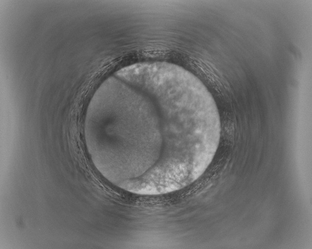 X0000115450817200912021004