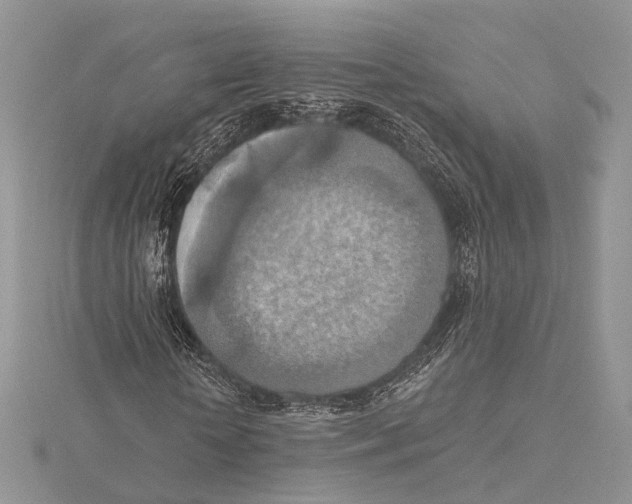 X0000115450818200912021004