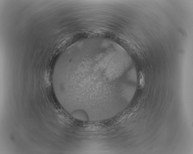 X0000115450819200912021004