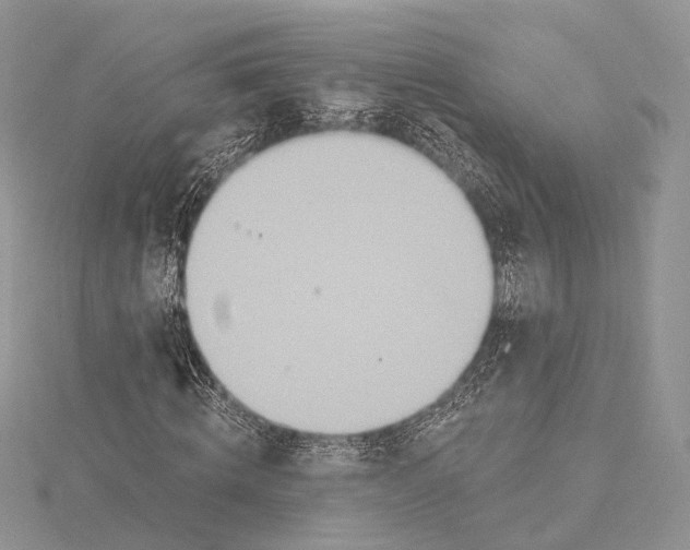 X0000115450820200912021004