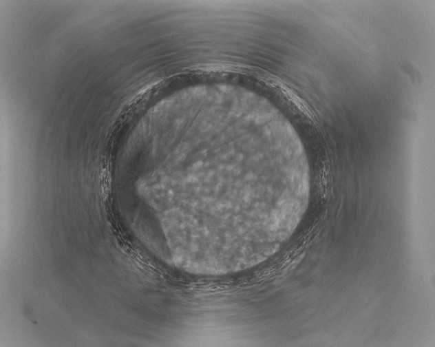 X0000115450821200912021004