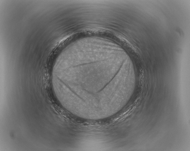 X0000115450822200912021004