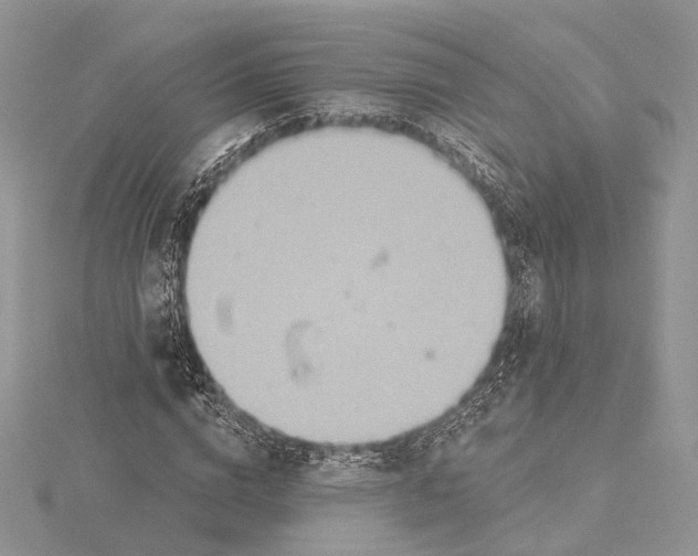 X0000115450824200912021004