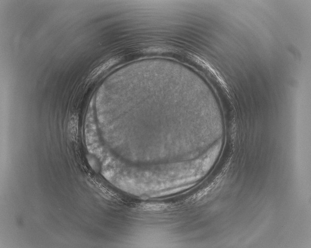 X0000115450825200912021004