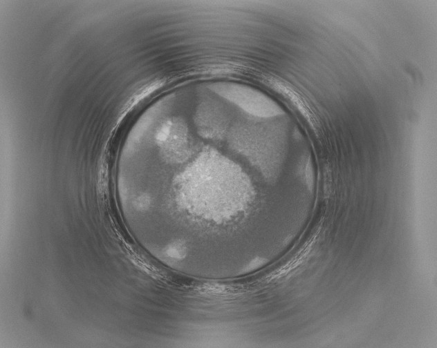 X0000115450827200912021004