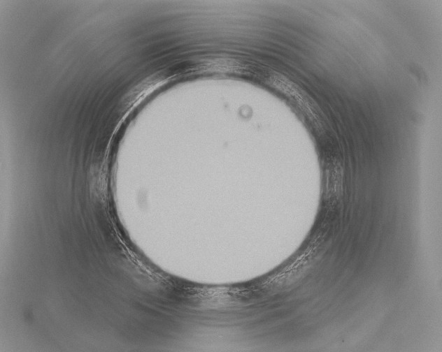 X0000115450828200912021004