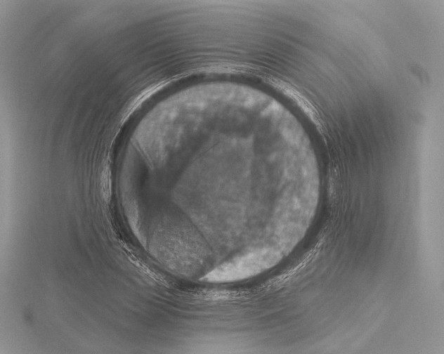 X0000115450829200912021004