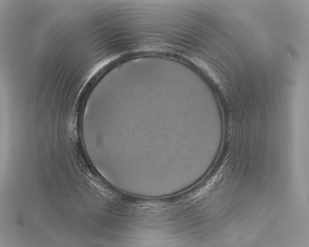 X0000115450830200912021004