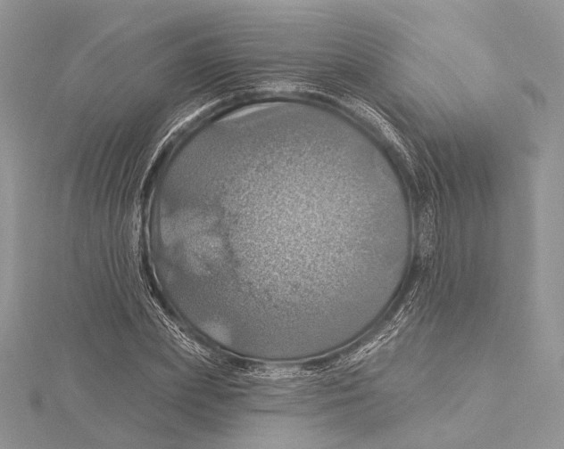 X0000115450831200912021004