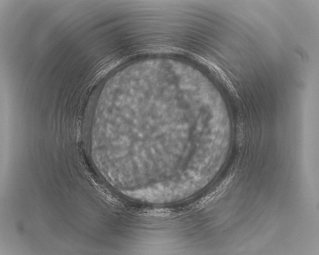 X0000115450833200912021004