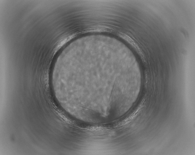 X0000115450834200912021004