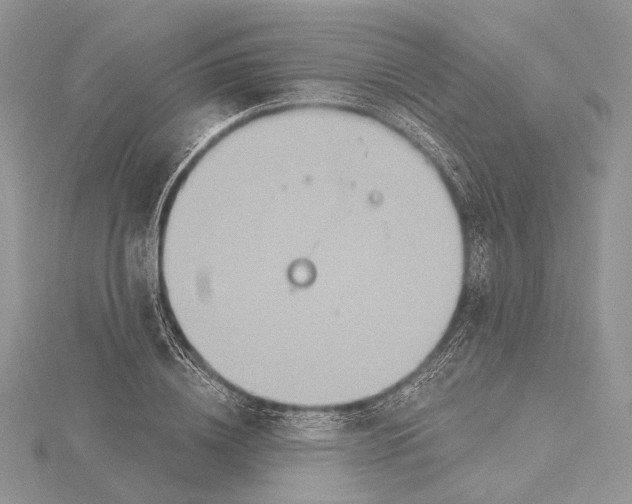 X0000115450836200912021004