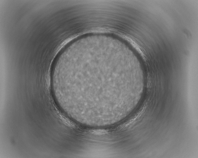 X0000115450837200912021004