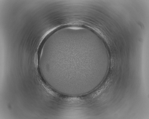 X0000115450838200912021004