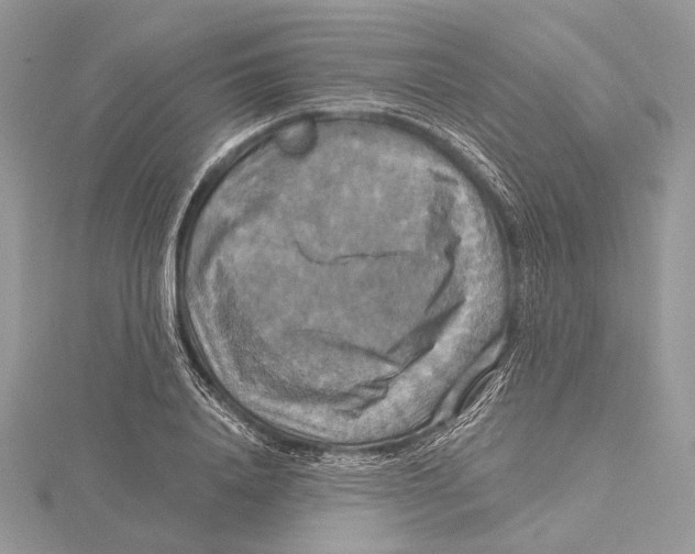 X0000115450840200912021004