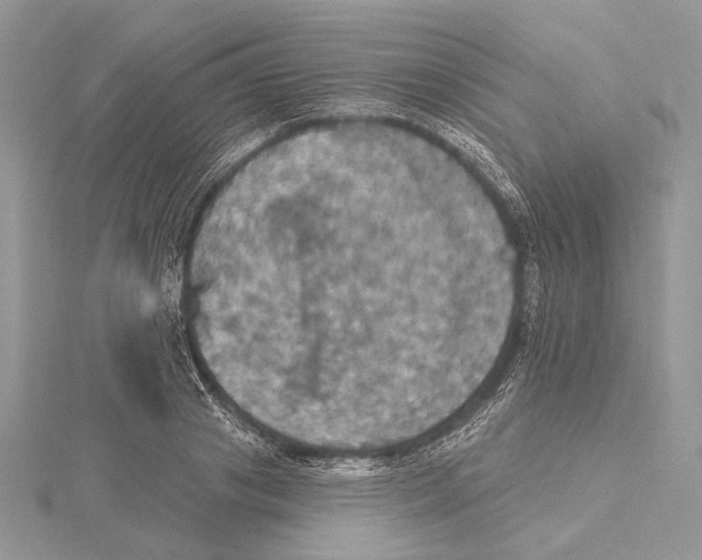 X0000115450841200912021004