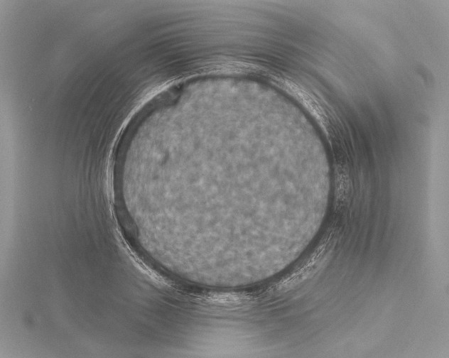 X0000115450843200912021004