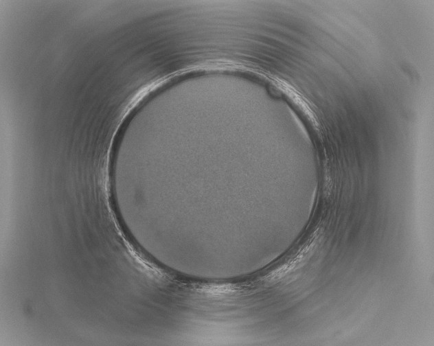 X0000115450845200912021004