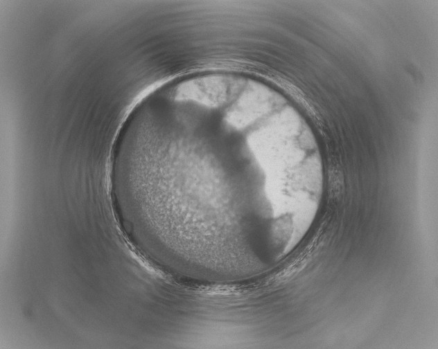 X0000115450846200912021004