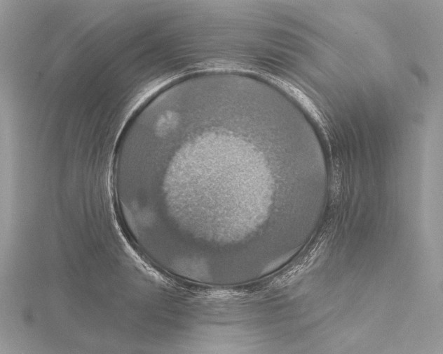 X0000115450847200912021004