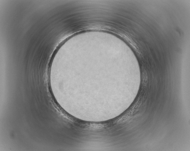 X0000115450848200912021004