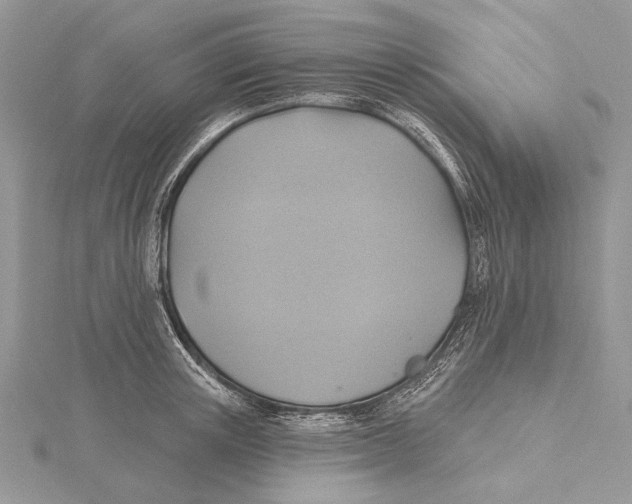 X0000115450851200912021004