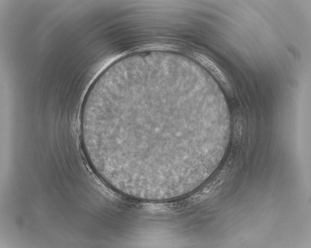 X0000115450852200912021004