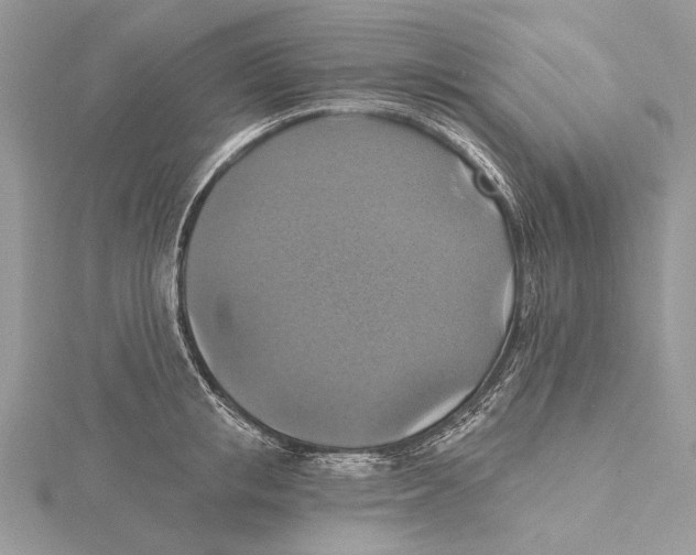 X0000115450853200912021004