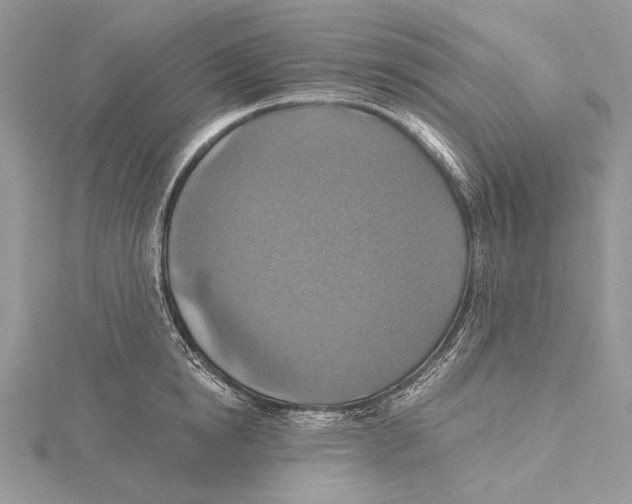 X0000115450854200912021004